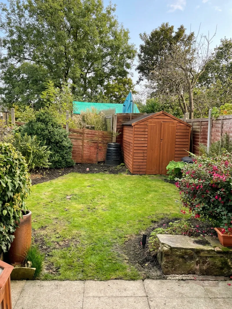 Back garden lawn and borders